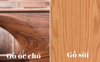 Cùng Gia Khánh phân biệt gỗ óc chó thật và giả chỉ trong tích tắc